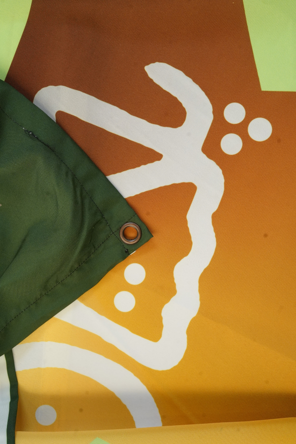 Pakistan Cricket Tapestry